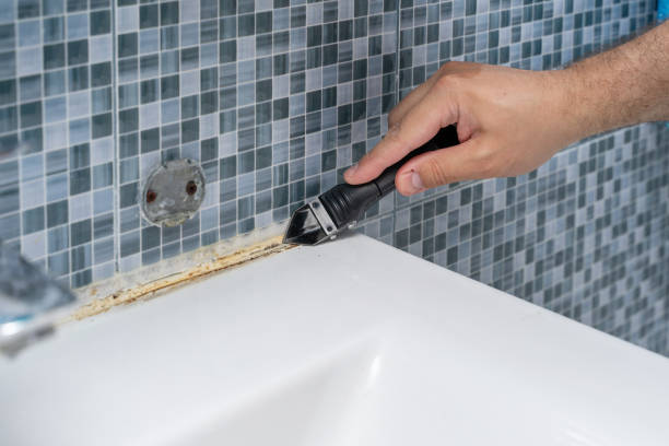 Best Toxic Mold Removal  in Irondale, GA
